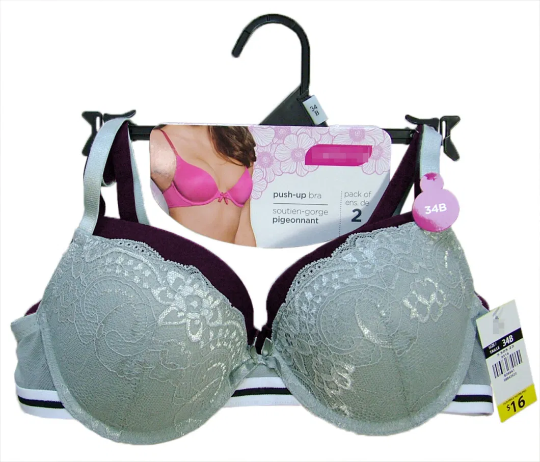 Push-up 2 Pack Bra with Scallop Edging on Cups with Elastic Band