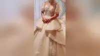 Spaghetti Straps Wedding Dress Lace Appliqued Organza Bridal Ball Gown H21618 