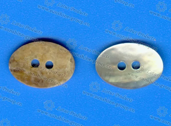 Custom Abnormity Shell Buttons for Garment 